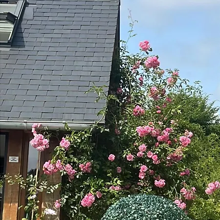 Bed and breakfast A La Campagne Chamblac