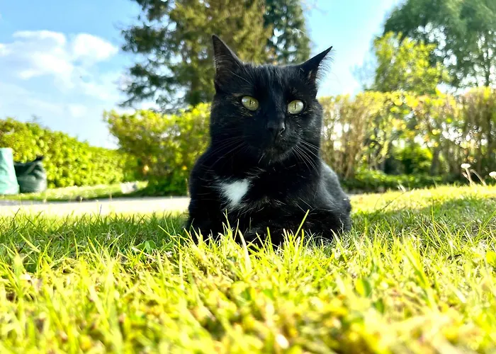 A La Campagne Nocleg ze śniadaniem 3*