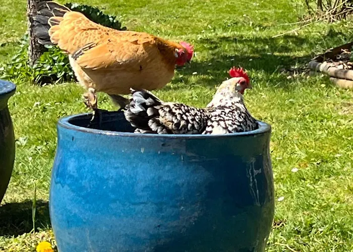 A La Campagne Nocleg ze śniadaniem Chamblac