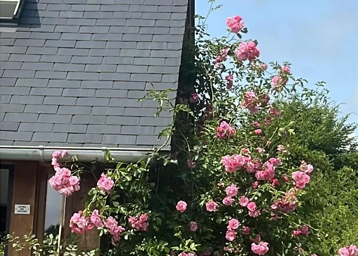 Nocleg ze śniadaniem A La Campagne Chamblac